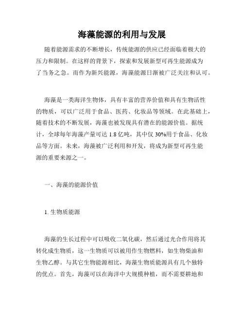 海藻能源的利用与发展