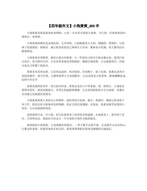 【四年级作文】小狗黄黄_400字