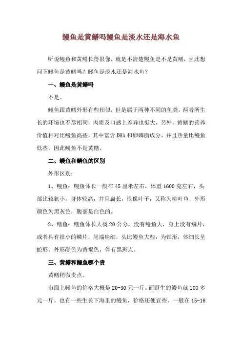 鳗鱼是黄鳝吗 鳗鱼是淡水还是海水鱼