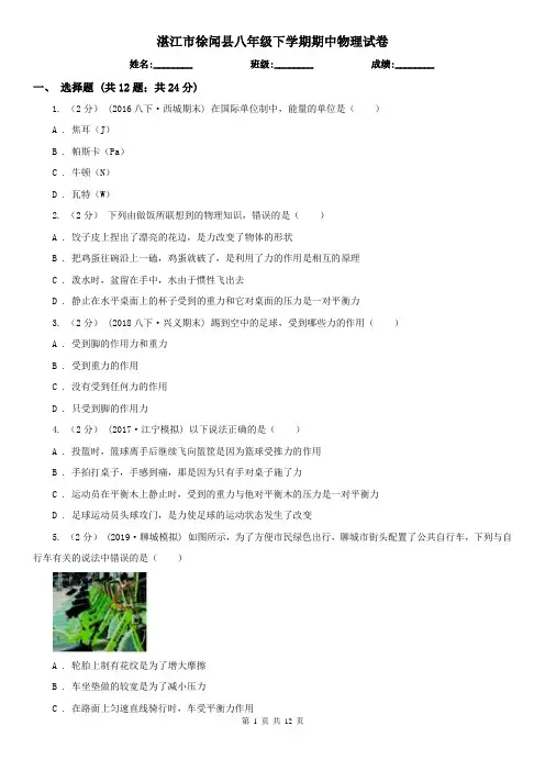 湛江市徐闻县八年级下学期期中物理试卷 