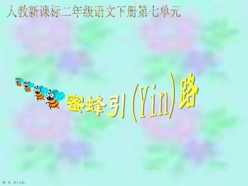 二年级语文下《蜜蜂引路》课件