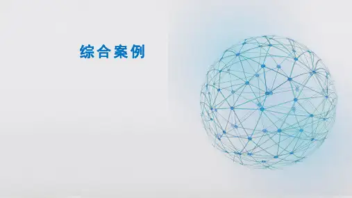 电子课件-《网络营销(第三版)》-A27-4194 综合案例