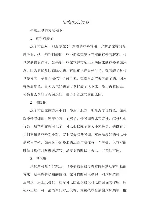 植物怎么过冬