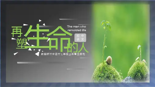 语文统编版2024版七年级初一上册第11课 再塑生命的人 课件01
