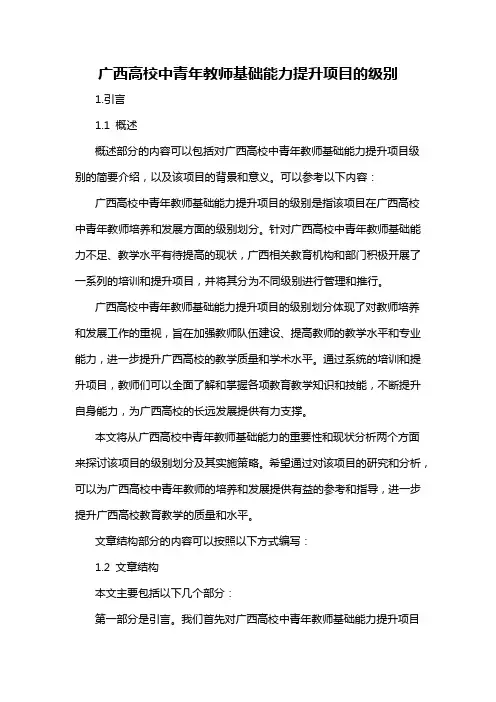 广西高校中青年教师基础能力提升项目的级别
