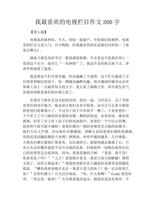 我最喜欢的电视栏目作文800字