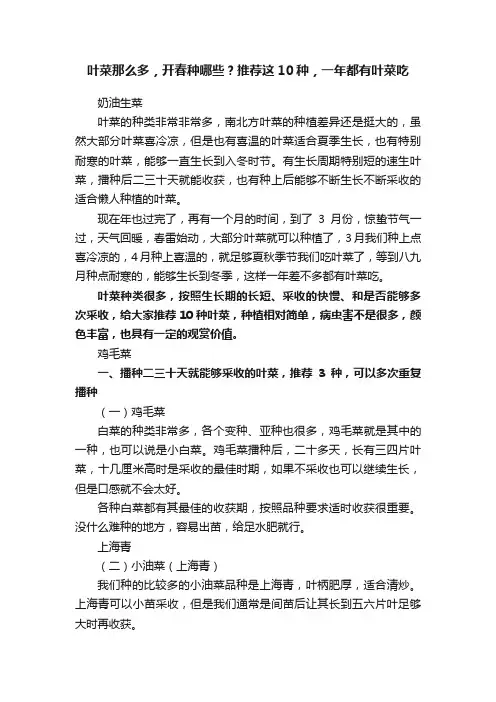 叶菜那么多，开春种哪些？推荐这10种，一年都有叶菜吃