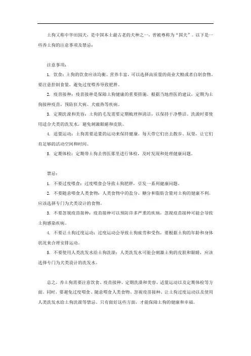 养土狗注意事项及禁忌