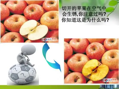 铁及其化合物课件
