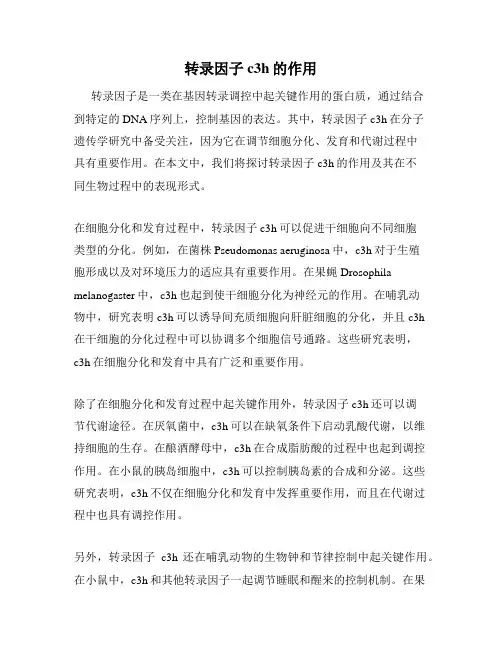 转录因子c3h的作用
