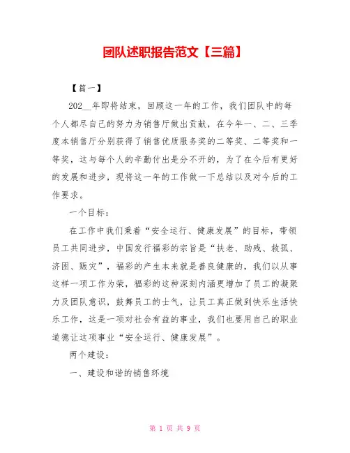 团队述职报告范文【三篇】
