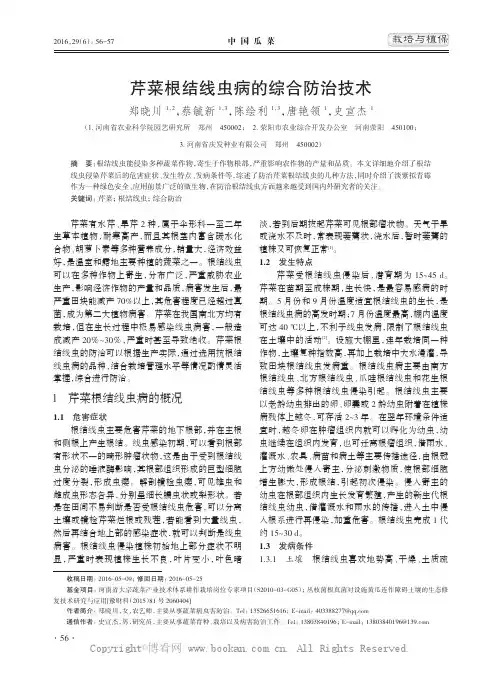 芹菜根结线虫病的综合防治技术