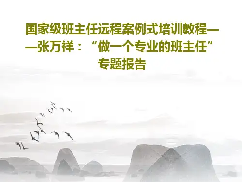国家级班主任远程案例式培训教程——张万祥：“做一个专业的班主任”专题报告共38页