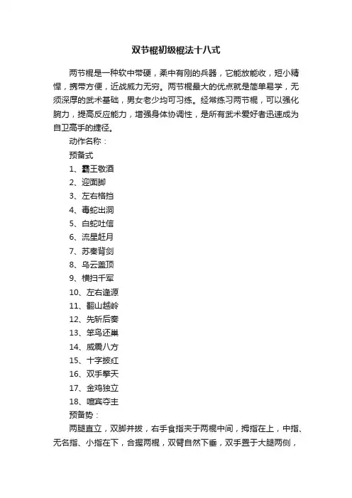 双节棍初级棍法十八式
