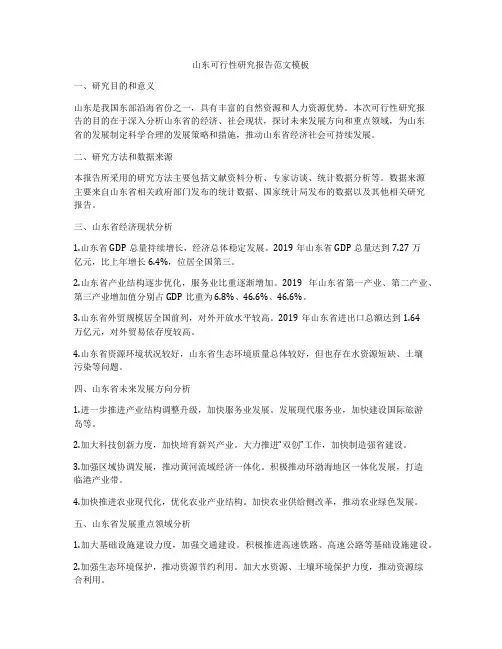 山东可行性研究报告范文模板