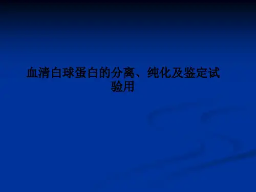 血清白球蛋白的分离、纯化及鉴定试验用