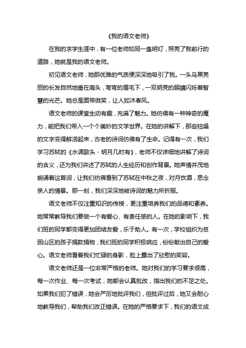 我的语文老师