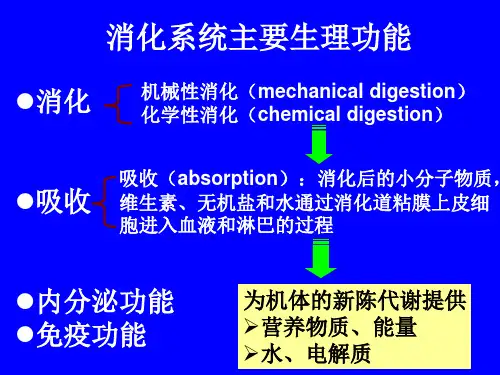 消化系统生理学