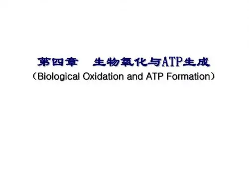 生物化学第四章  生物氧化与ATP生成
