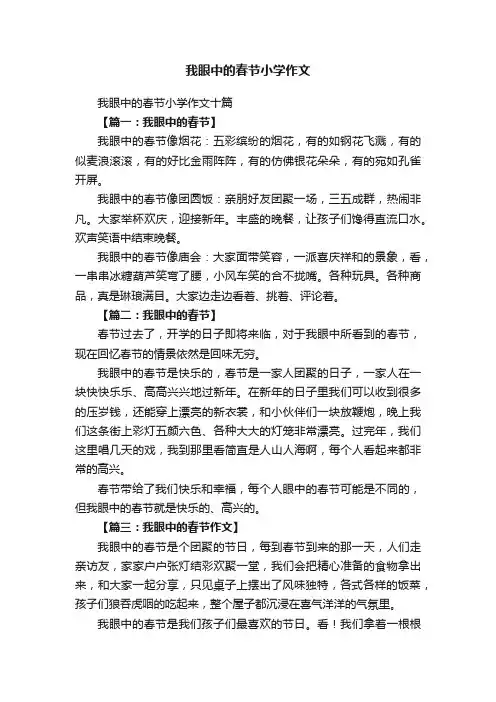 我眼中的春节小学作文十篇