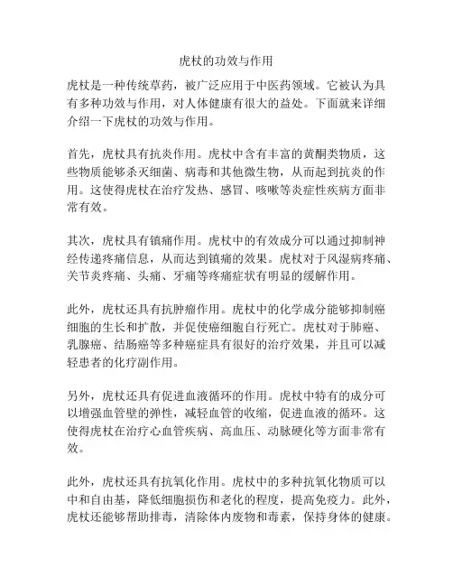 虎杖的功效与作用