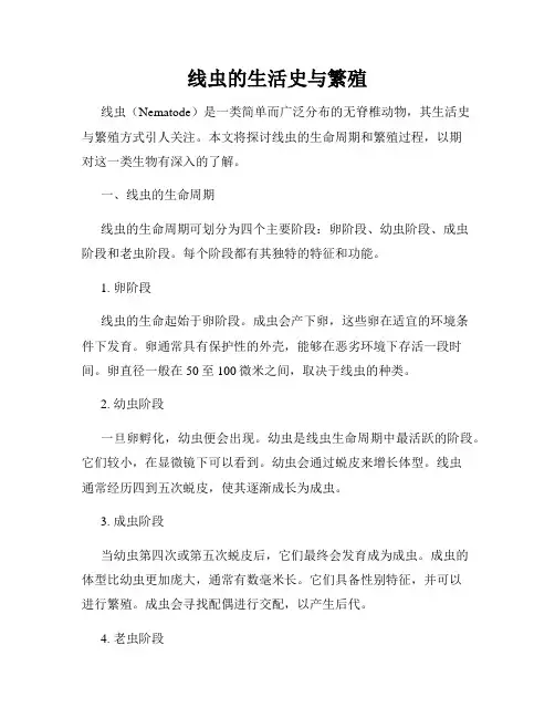 线虫的生活史与繁殖