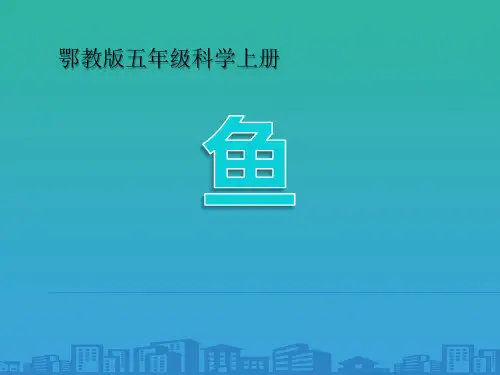 《鱼》池塘群落PPT课件
