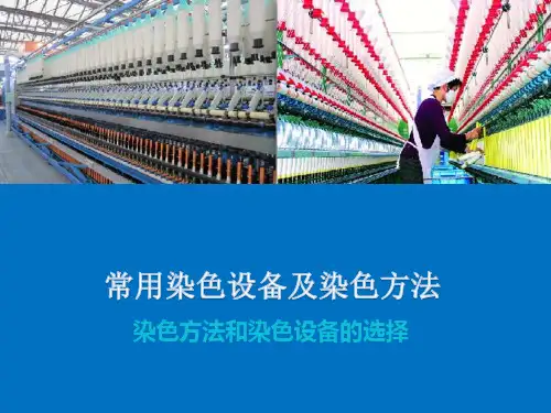 染色方法和染色设备的选择