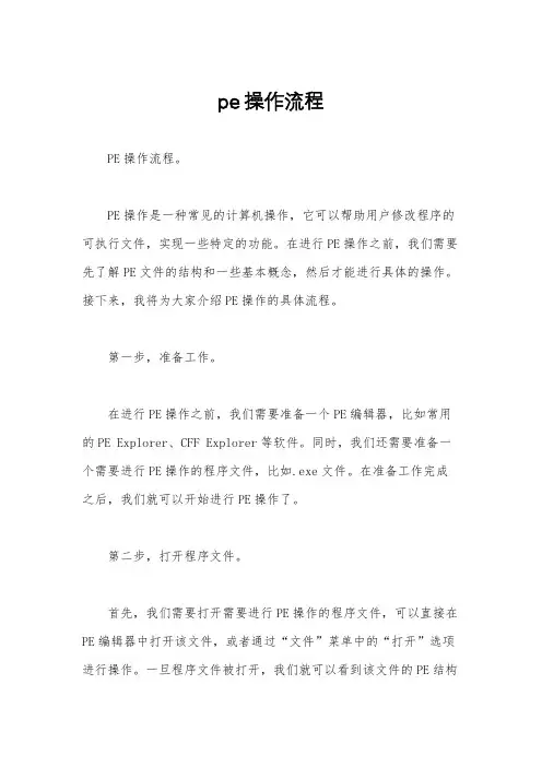pe操作流程