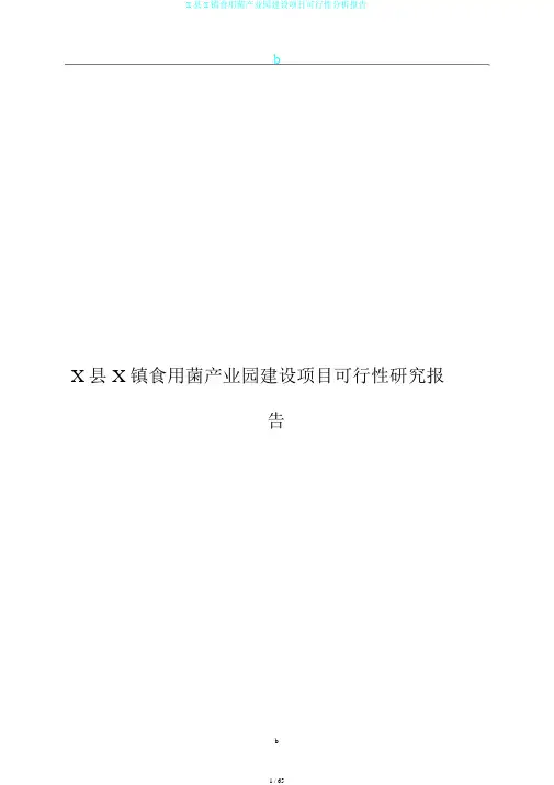 X县X镇食用菌产业园建设项目可行性分析报告