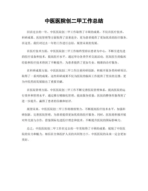 中医医院创二甲工作总结