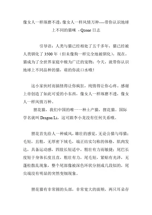 像女人一样琢磨不透,像女人一样风情万种----带你认识地球上不同的猫咪