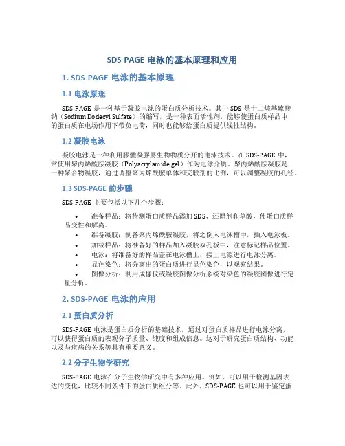 SDS-PAGE电泳的基本原理和应用