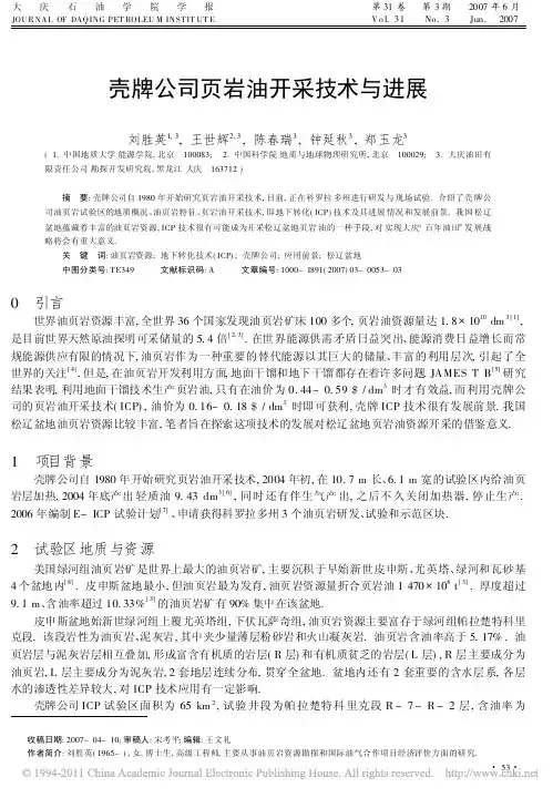 壳牌公司页岩油开采技术与进展