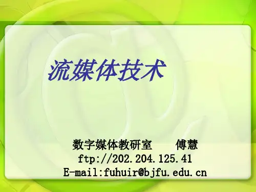 流媒体技术概述(ppt79张)