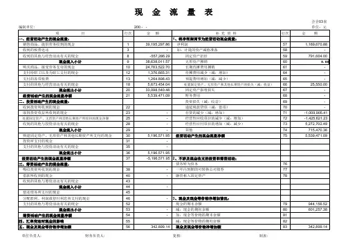 现金流量表自动生成模板