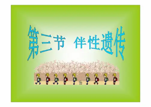 高中生物必修二 人教版高中生物必修二课件2.3伴性遗传