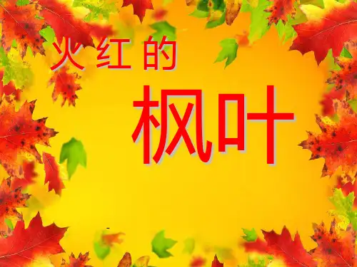 北师大版小学二年级上册语文《火红的枫叶》优质课课件PPT