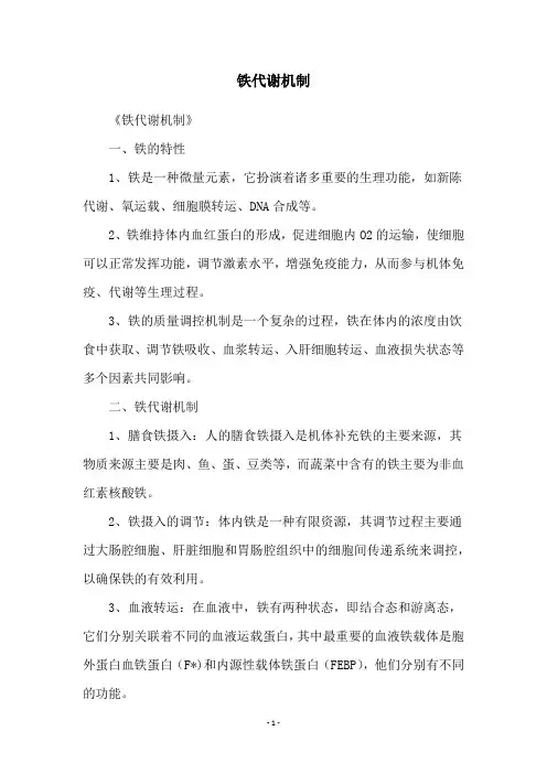 铁代谢机制