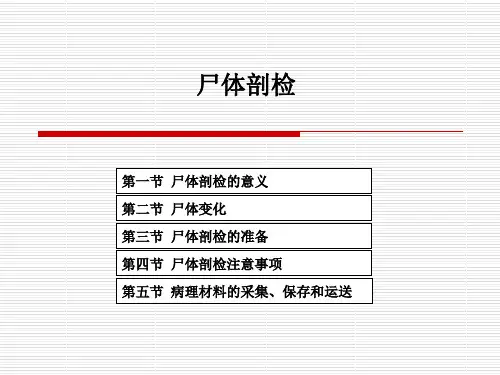 尸体剖检.ppt
