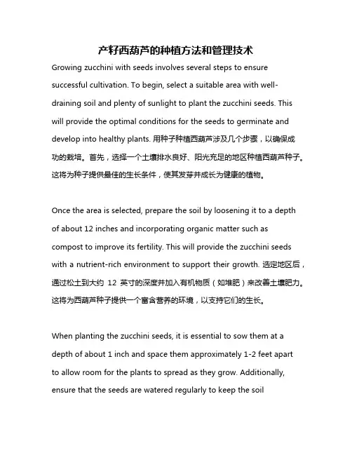 产籽西葫芦的种植方法和管理技术