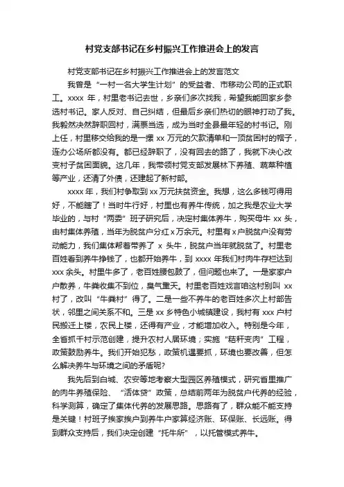村党支部书记在乡村振兴工作推进会上的发言