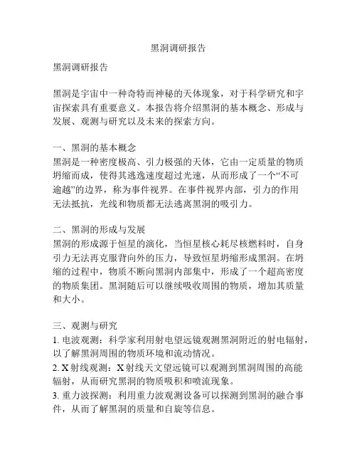 黑洞调研报告