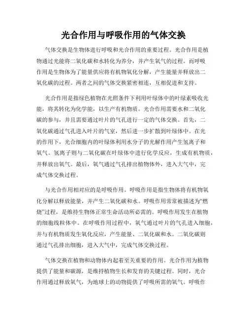 光合作用与呼吸作用的气体交换