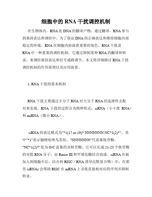 细胞中的RNA干扰调控机制