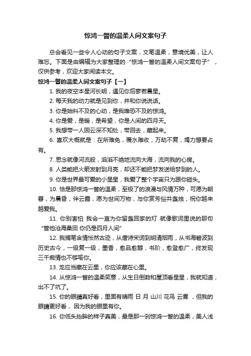 惊鸿一瞥的温柔人间文案句子