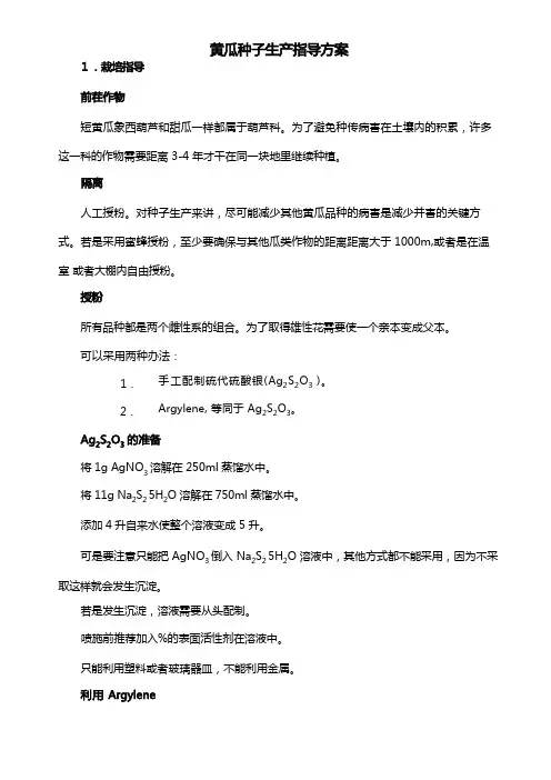 黄瓜种子生产指导方案
