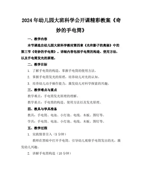 2024年幼儿园大班科学公开课精彩教案《奇妙的手电筒》