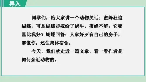 《动物笑谈》PPT教学课件