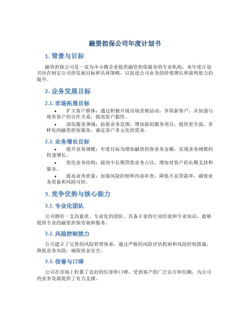 融资担保公司年度计划书